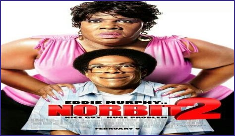 Everything You Need To Know About Molly Norbit